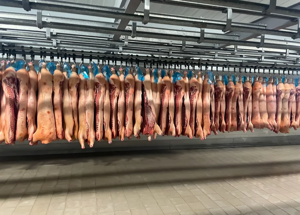 Fileiras de carcaças suínas penduradas em trilhos dentro de câmara fria de frigorífico industrial