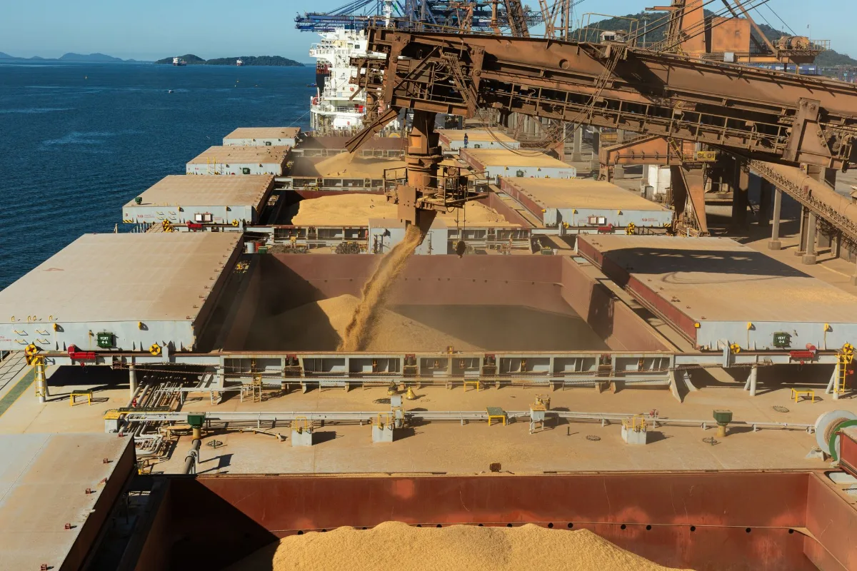 Carregador de navio despejando grãos no porão aberto de um graneleiro atracado, com esteiras e estrutura metálica do píer à direita e o mar ao fundo