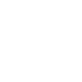 selegram logo