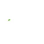 trisolo-logo.webp